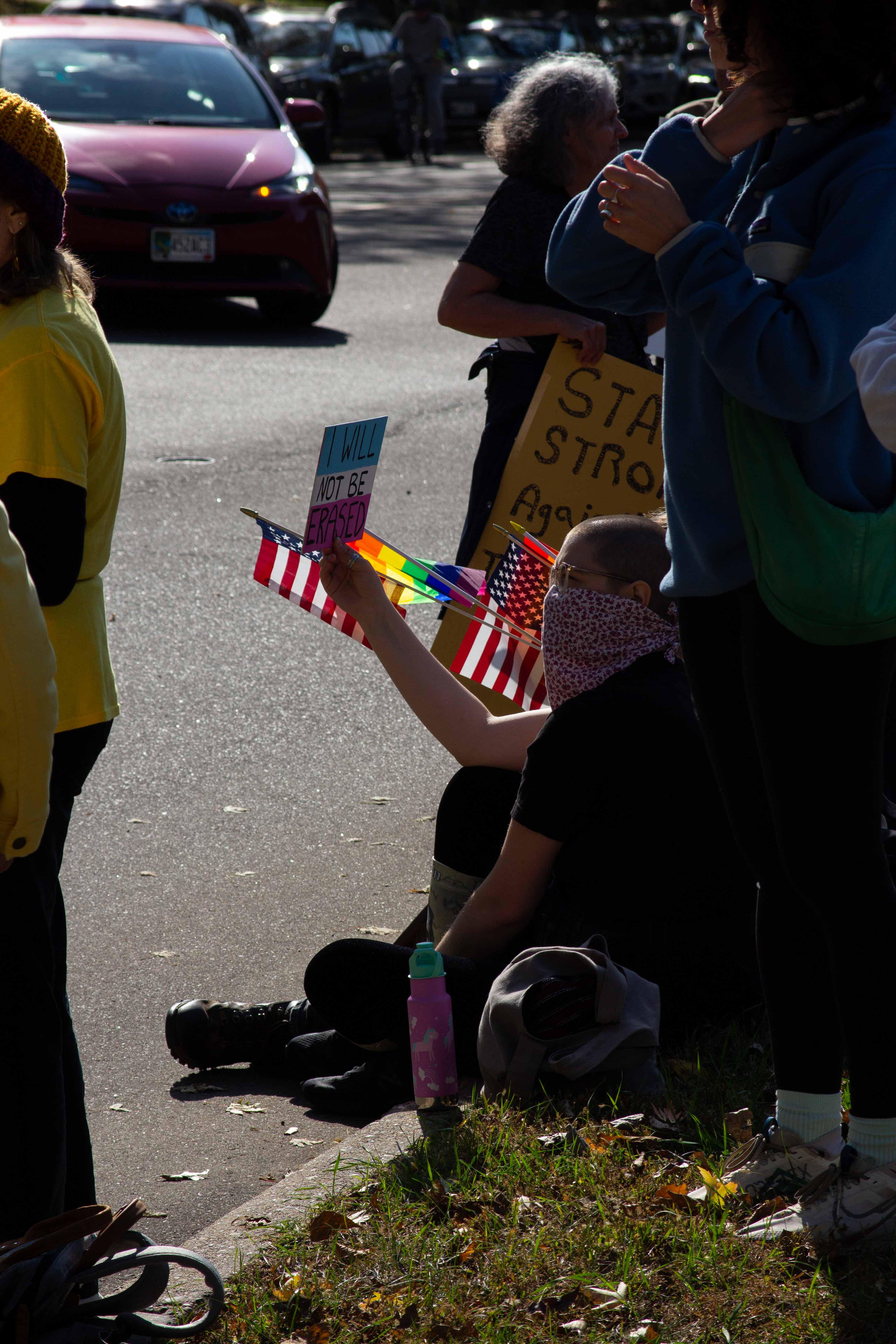 No Kings Protest - Photo 1