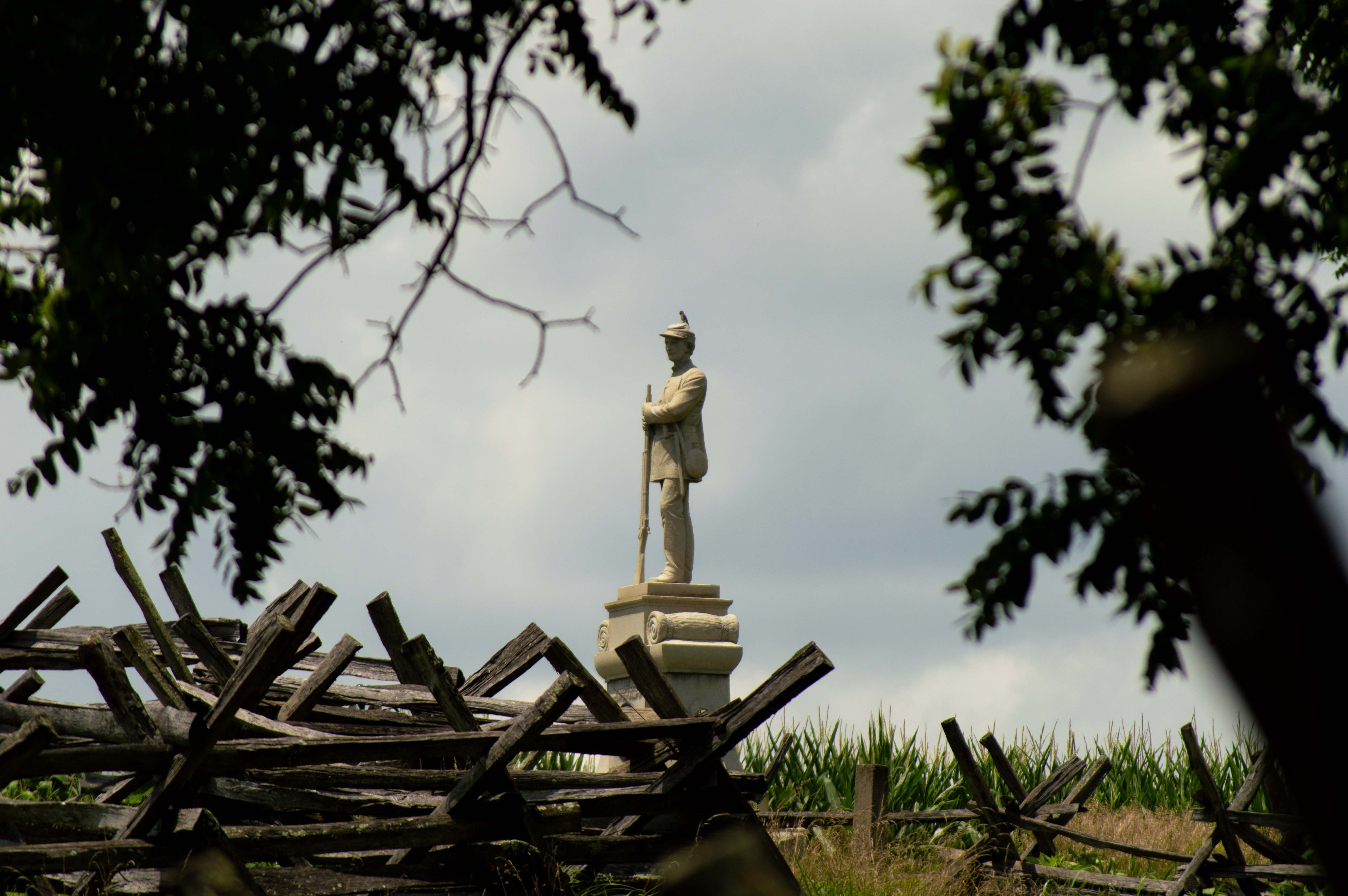 St. Thomas Volleyball vs. Kansas City - Photo 7